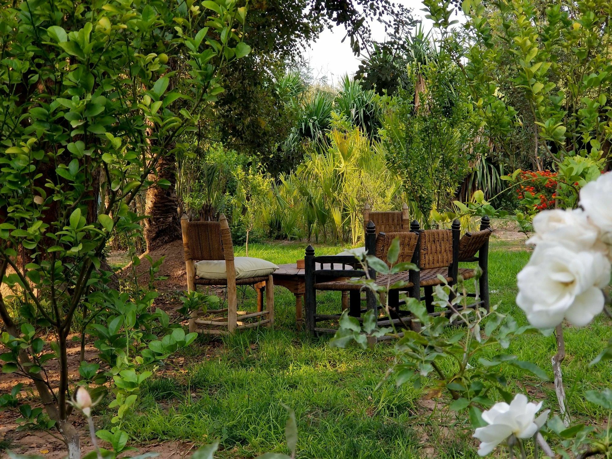 All Green House Marrakesh Exterior foto