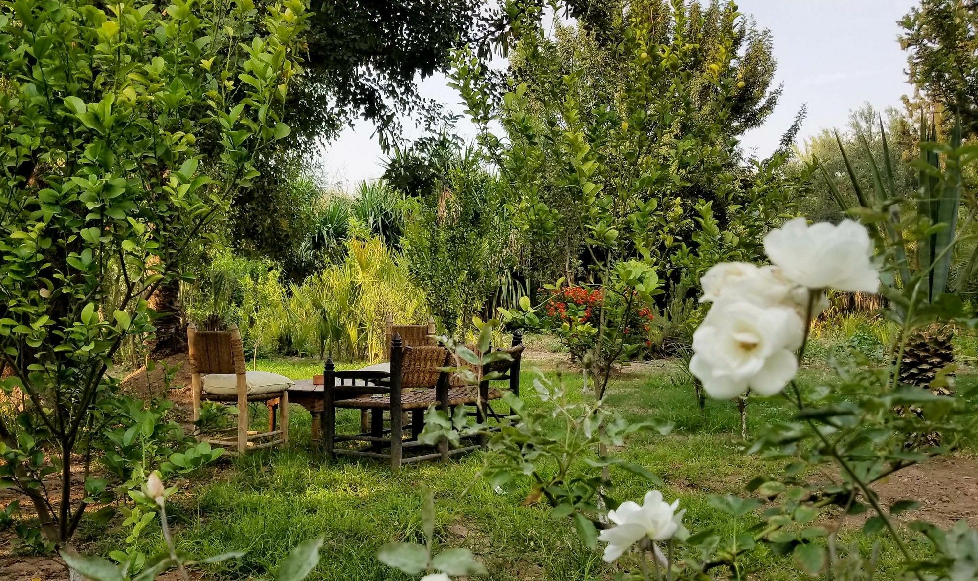 All Green House Marrakesh Exterior foto