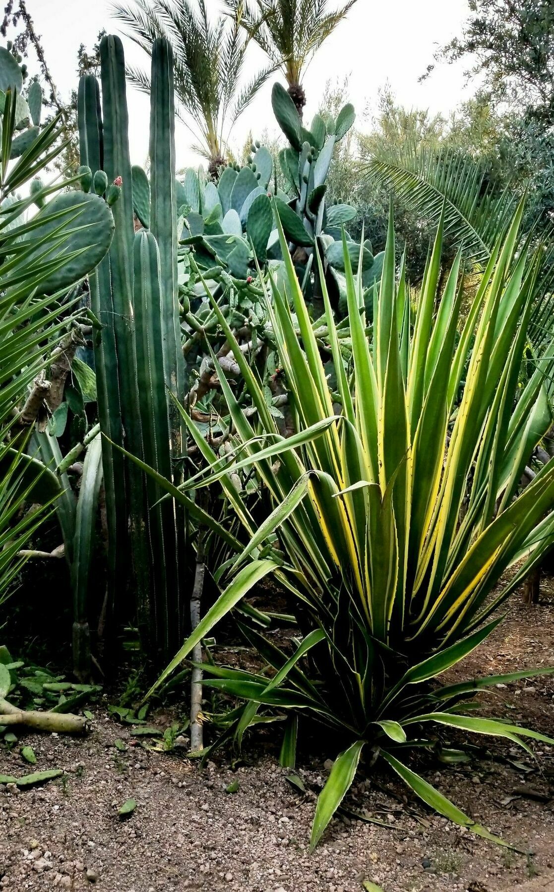 All Green House Marrakesh Exterior foto
