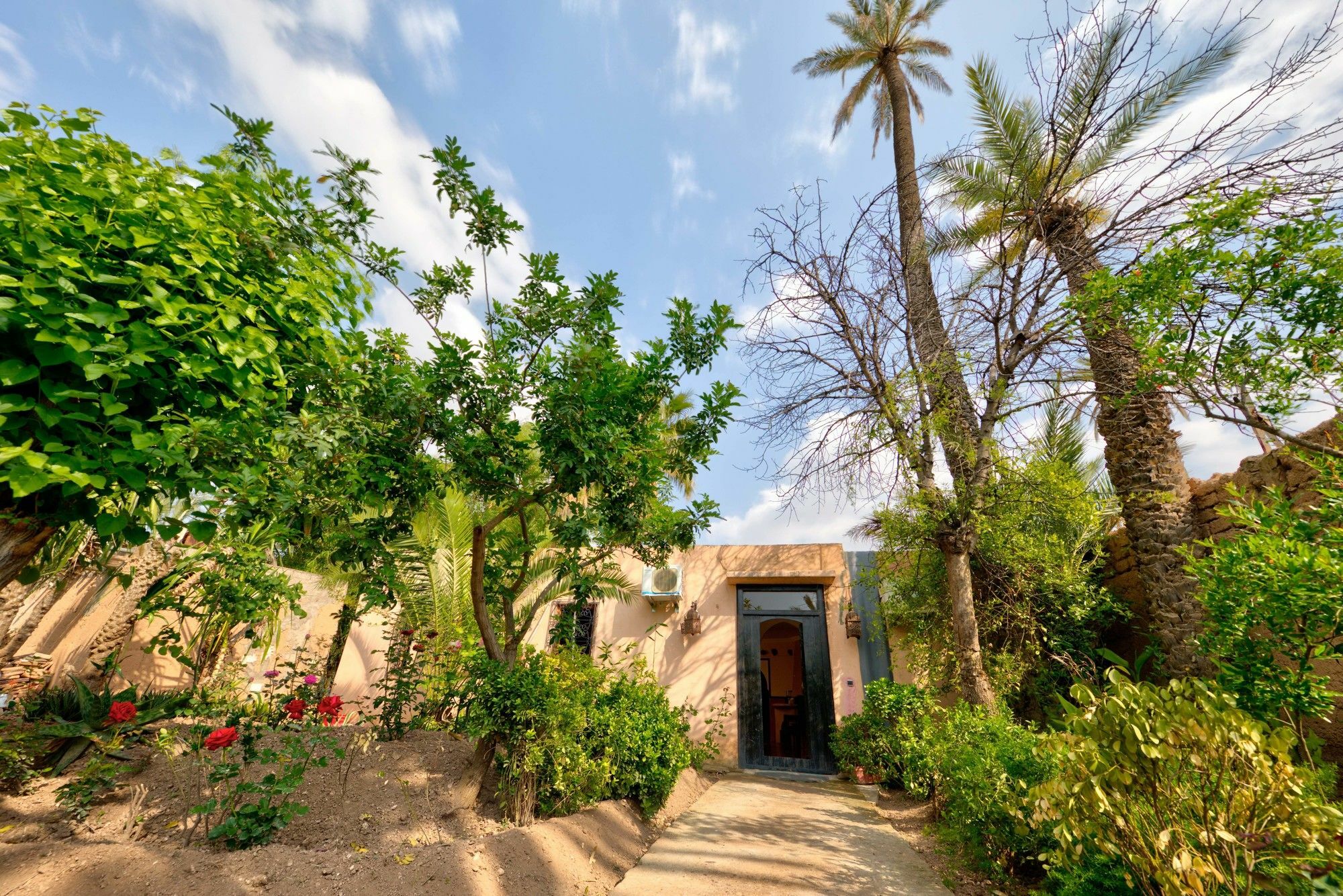 All Green House Marrakesh Exterior foto